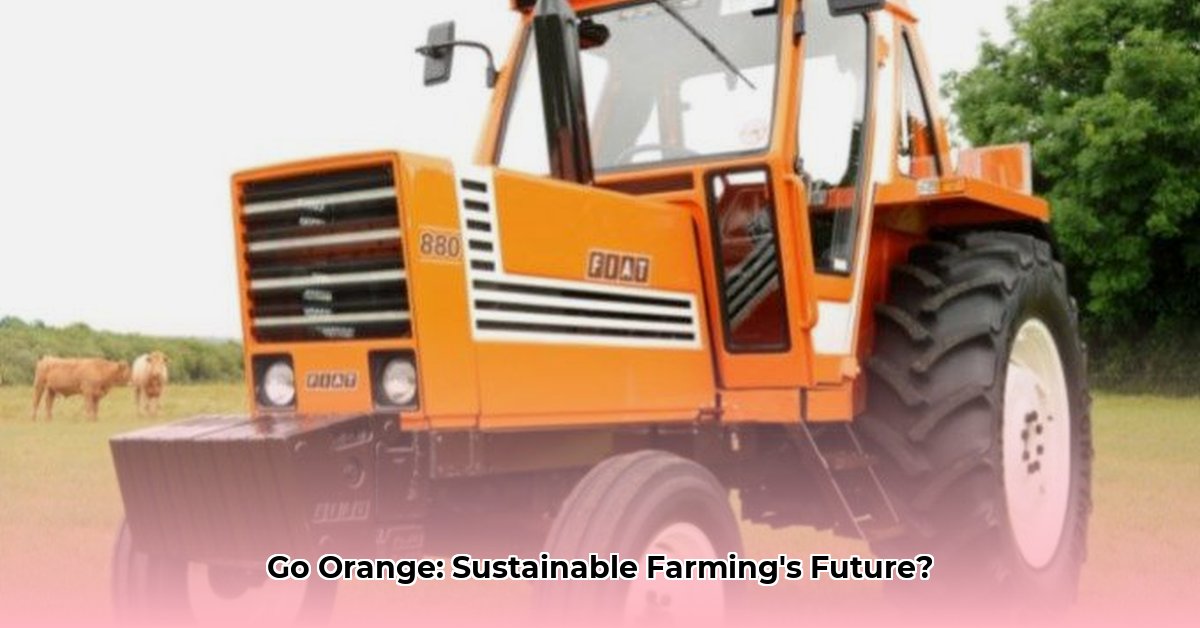 orange-tractors